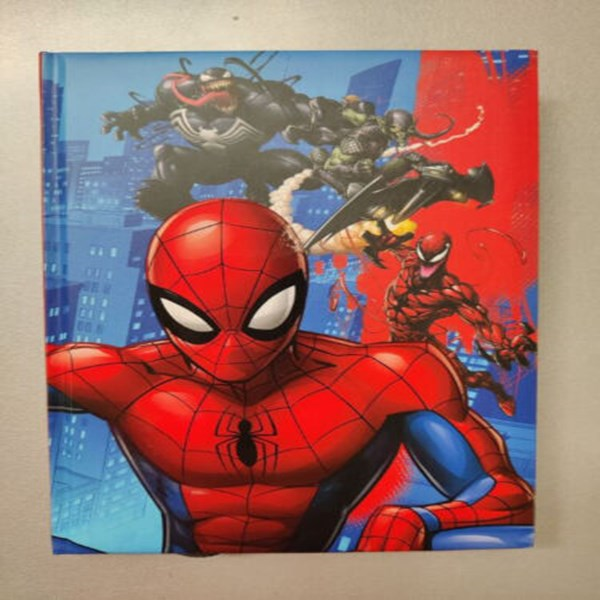 Immagine di Diario Std Spiderman